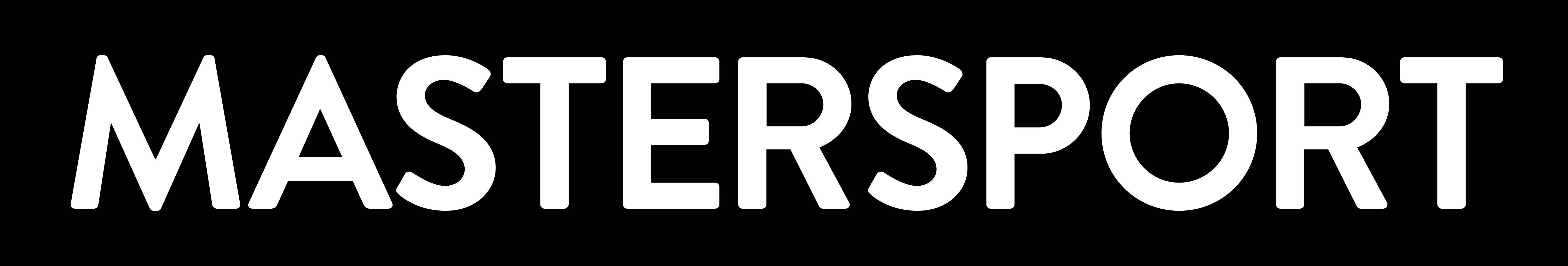 Logo Mastersport